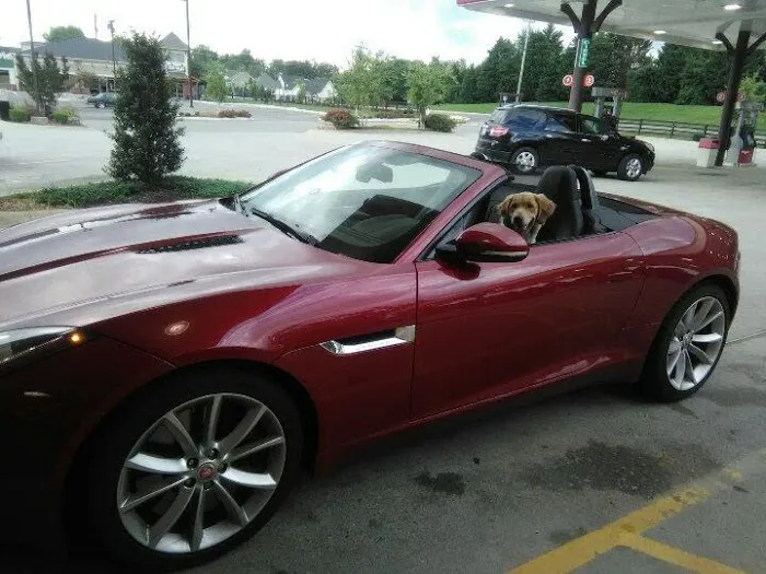 RTR Properties Inc Picture 1