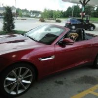 RTR Properties Inc ico