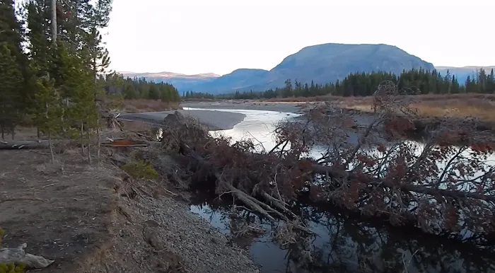 North Thorofare 6T2 Picture 2