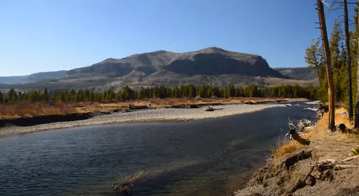 North Thorofare 6T2 Picture 3