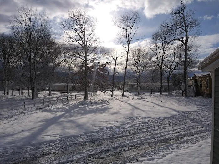 Daisy Estates Mobile Home Park Picture 8