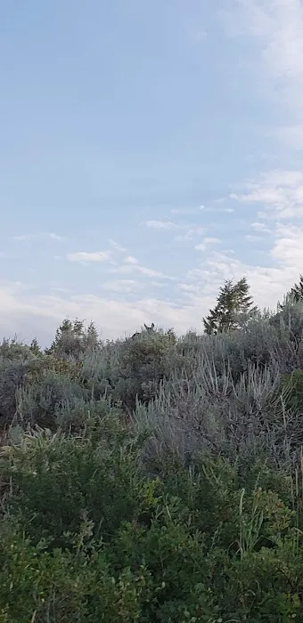 Pasa-la-coma Recreation Camp Picture 9