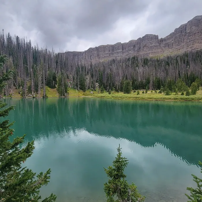 Brooks Lake Campground Picture 5