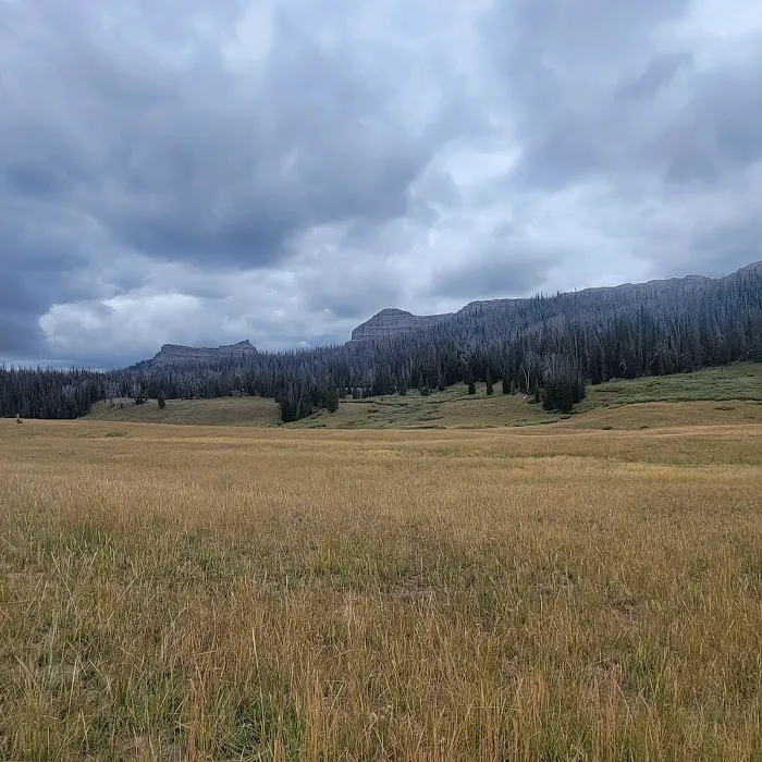 Brooks Lake Campground Picture 1