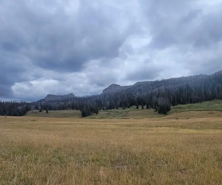 Brooks Lake Campground