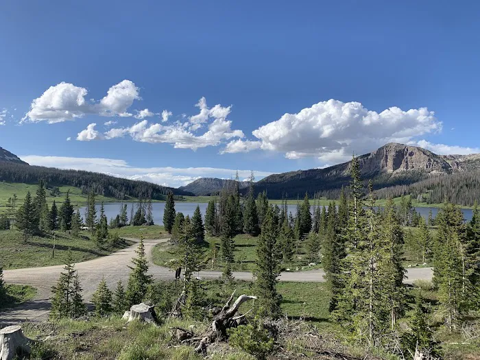 Brooks Lake Campground Picture 2