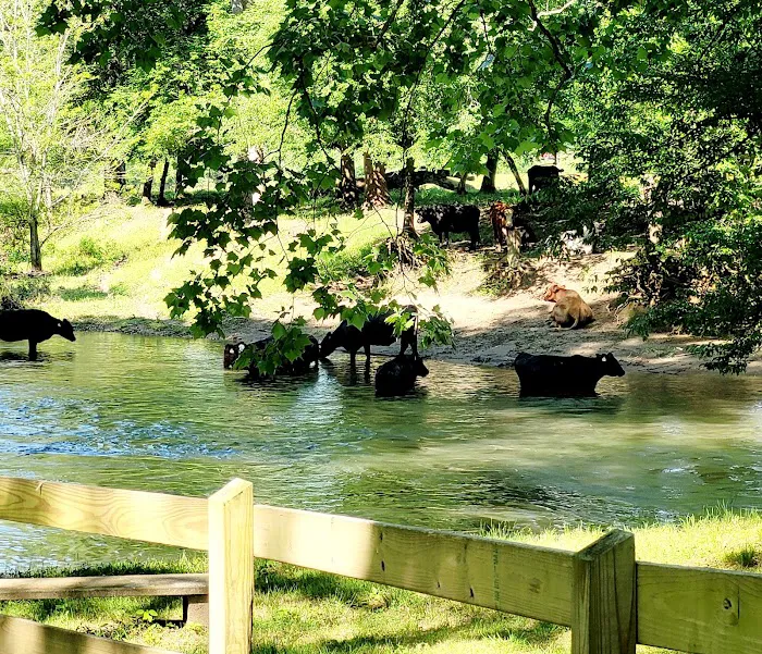 Peachtree Cove RV Park Picture 9