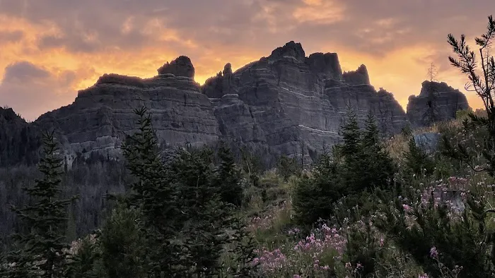 Pinnacles Campground Picture 2