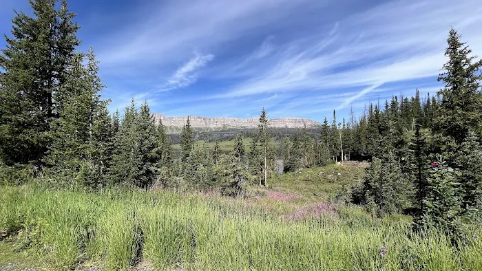 Pinnacles Campground Picture 5