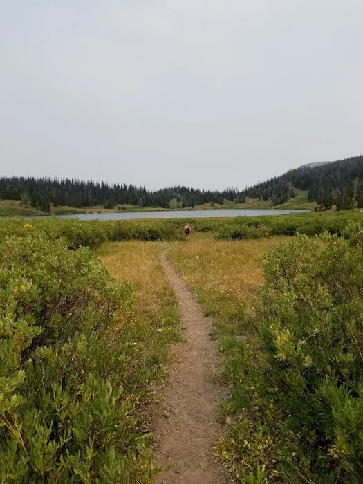 Pinnacles Campground Picture 9