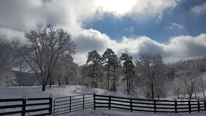 Walnut Hollow RV Ranch Picture 6