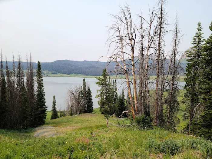 Falls Campground Picture 5