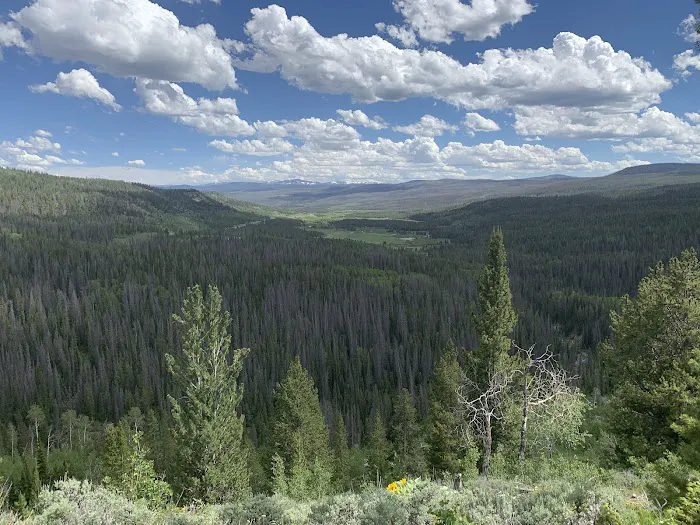 Falls Campground Picture 6