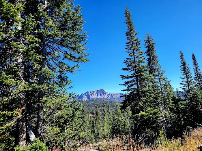 Falls Campground Picture 7