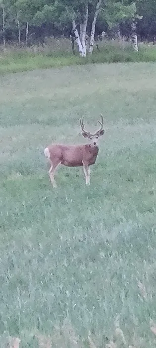 Tincup Mountain Guest Ranch/Hamilton Outfitters Picture 8