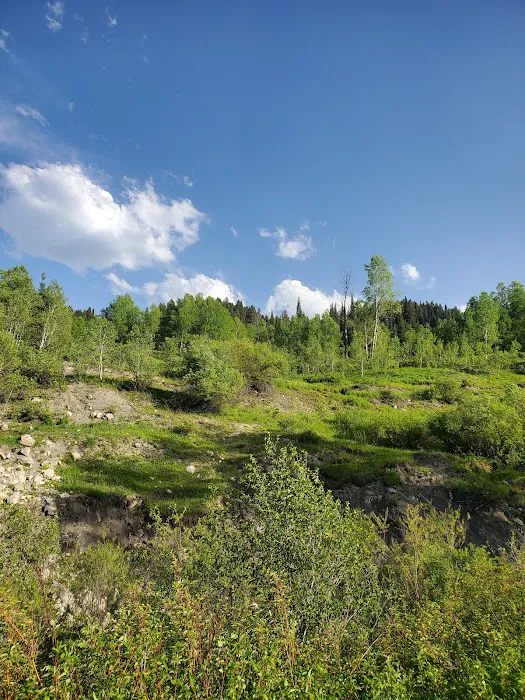 Tin Cup Campground Picture 2