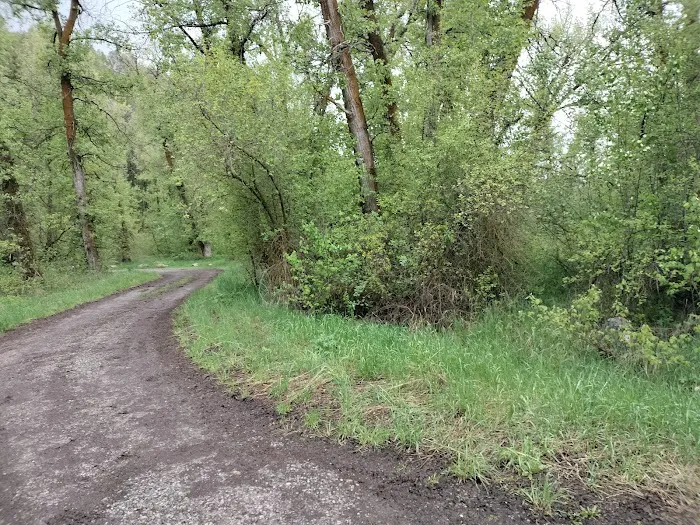 Tin Cup Campground Picture 1