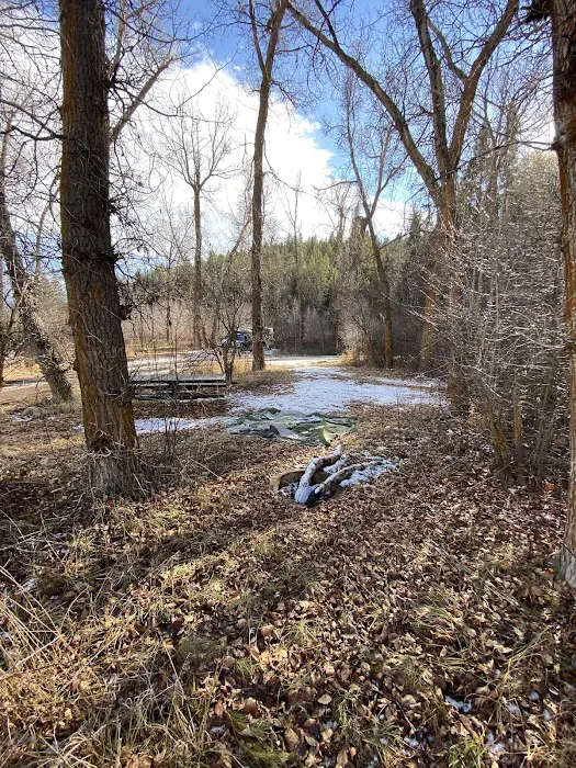 Tin Cup Campground Picture 5