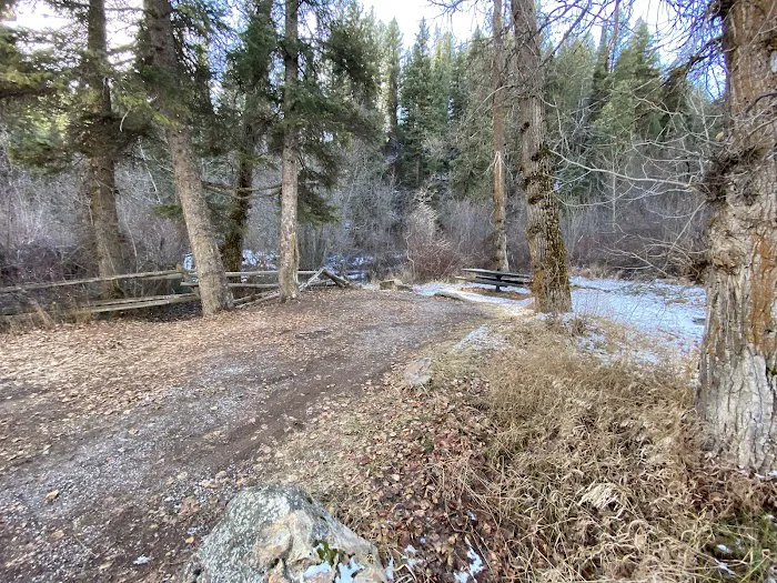 Tin Cup Campground Picture 6