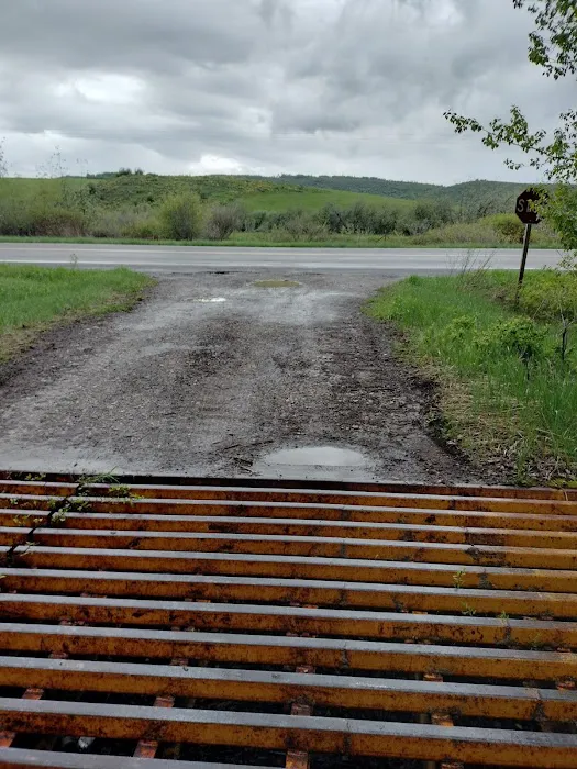 Tin Cup Campground Picture 10