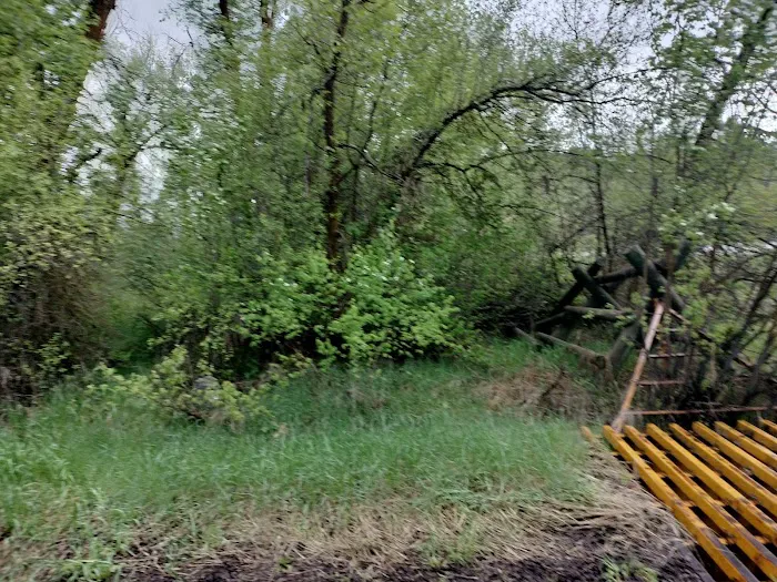 Tin Cup Campground Picture 8