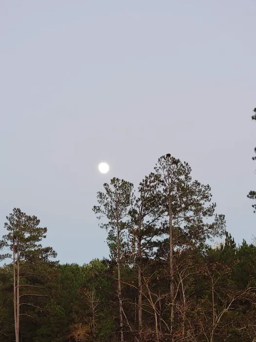 Liberty Springs RV Park Picture 7