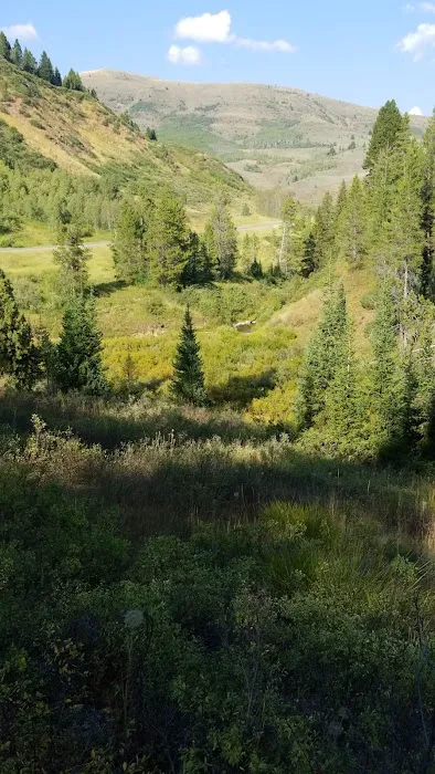 Pine Bar Campground Picture 5