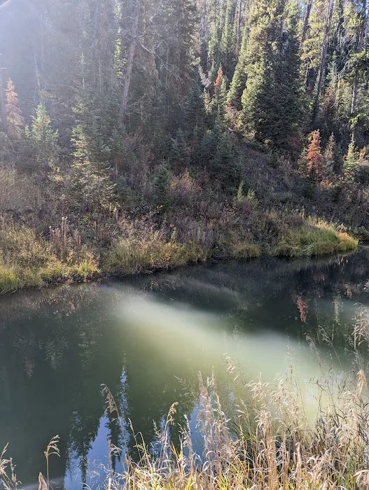 Pine Bar Campground Picture 3