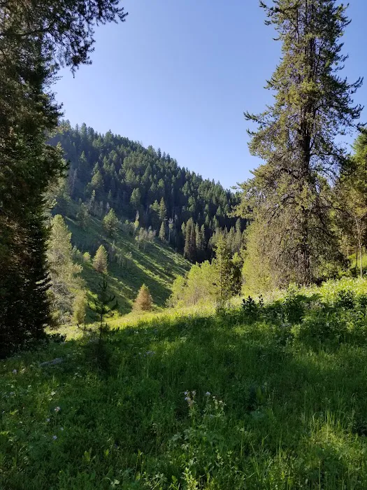 Pine Bar Campground Picture 1