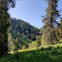 Pine Bar Campground ico