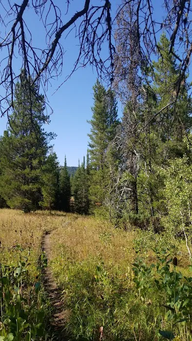 Pine Bar Campground Picture 2