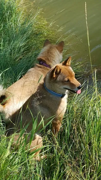 Pine Bar Campground Picture 4