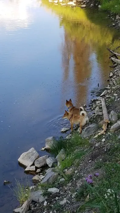 Pine Bar Campground Picture 8