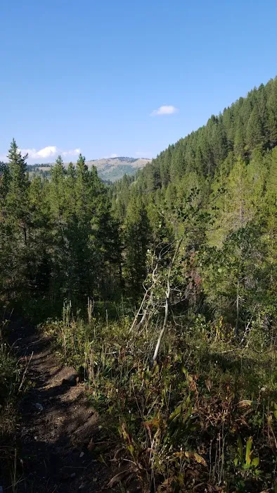 Pine Bar Campground Picture 9