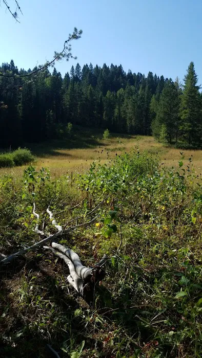 Pine Bar Campground Picture 6