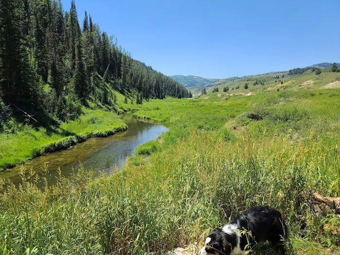 Pine Bar Campground Picture 7