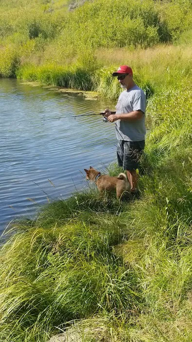 Pine Bar Campground Picture 10