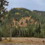 Moose Flat Campground