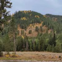 Moose Flat Campground ico