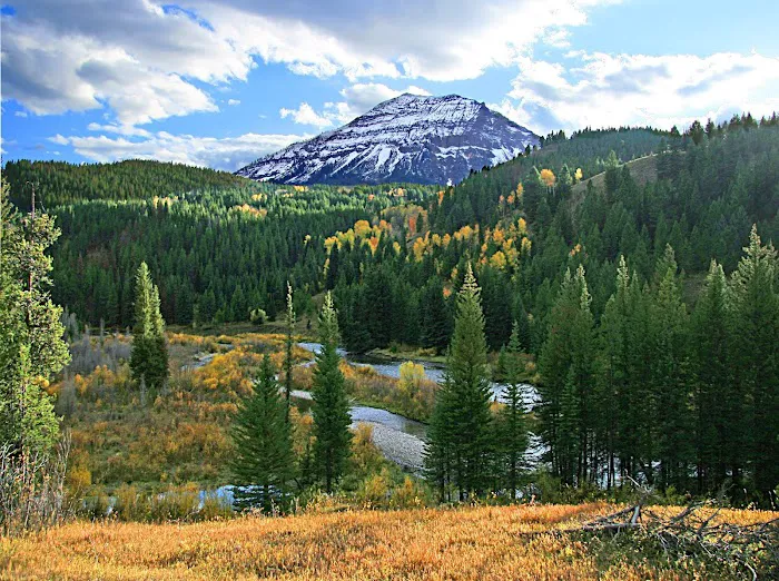 Moose Flat Campground Picture 3