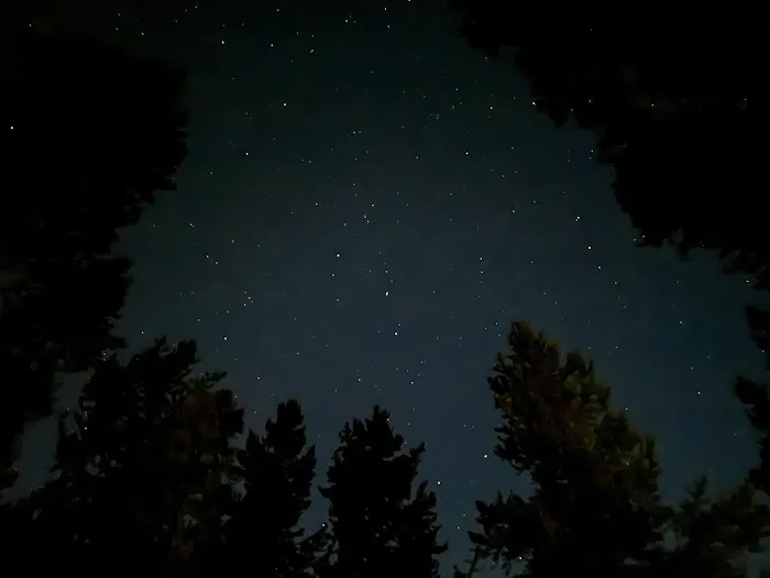 Grant Village Campground (D Loop) Picture 6