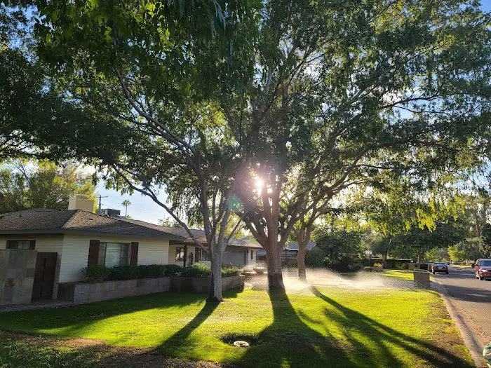 Grant Village Campground (D Loop) Picture 3