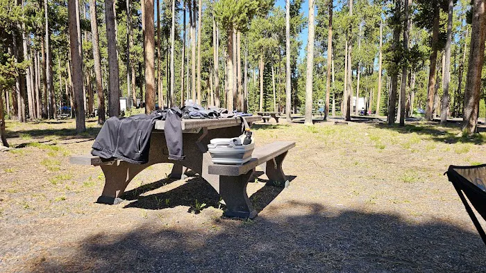 Grant Village Campground Picture 1