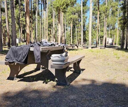 Grant Village Campground