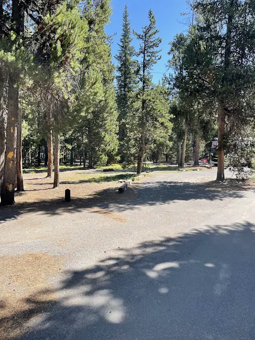 Grant Village Campground Picture 3