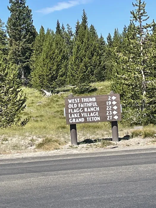 Grant Village Campground Picture 5