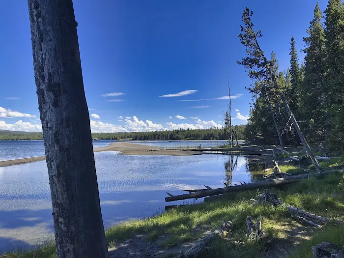 Grant Village Campground Picture 4