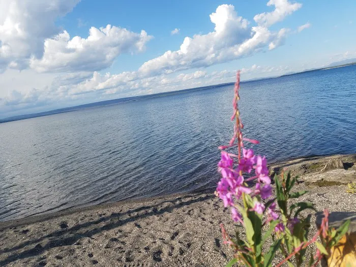 Grant Village Lakeshore Pavillion Picture 5