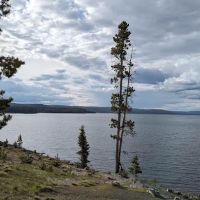 Grant Village Lakeshore Pavillion ico