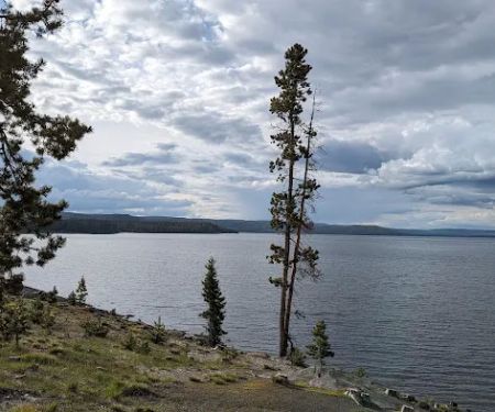 Grant Village Lakeshore Pavillion